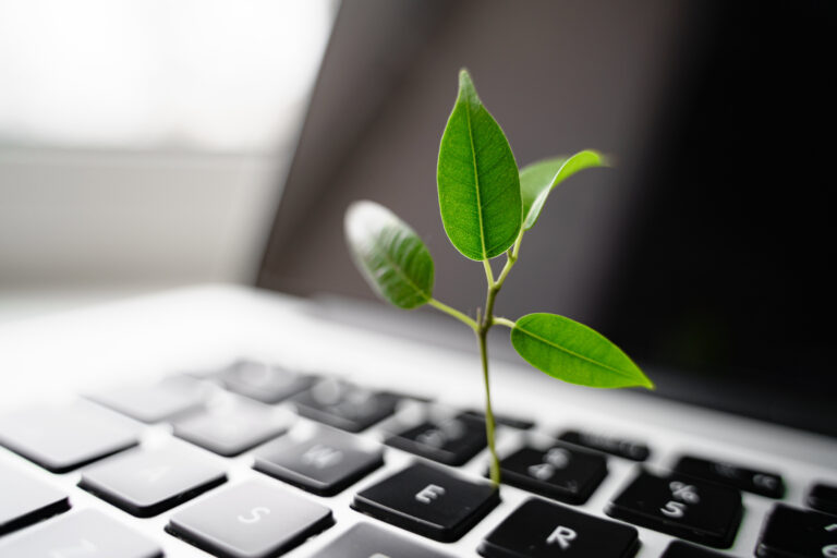 Eine kleine grüne Pflanze wächst aus einer Laptoptastatur. Dies soll das Thema Datenschutz und Nachhaltigkeit verbinden
